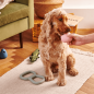 Preview: BECO Wobble Ball - Futterball Snackball
